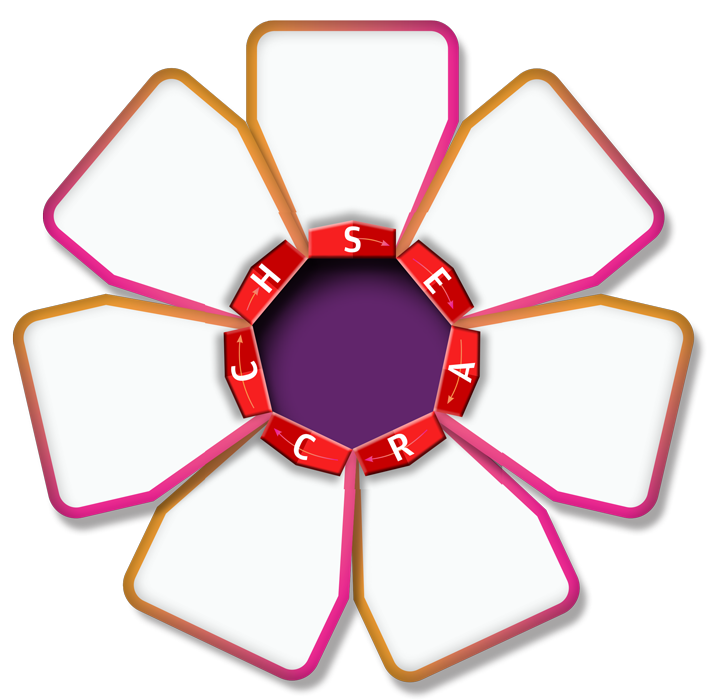 The Pride Group core values flower
